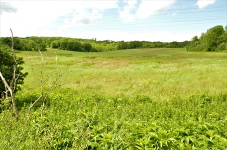 Balade au Montguichet.