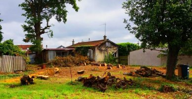 Abattage d'arbres remarquables au Plateau d'Avron Neuilly-Plaisance