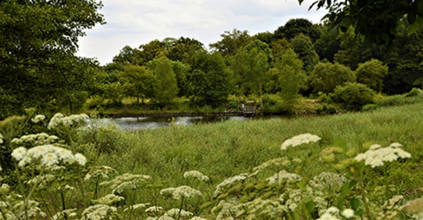 La forêt de Bondy classée en forêt de protection.
