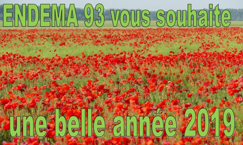 ENDEMA93 vous souhaite une belle anne 2019