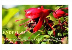 ENDEMA93 : Voeux 2022