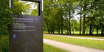 La forêt de Bondy