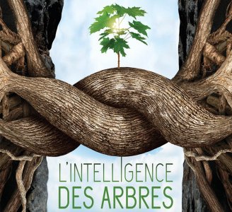  L'INTELLIGENCE DES ARBRES