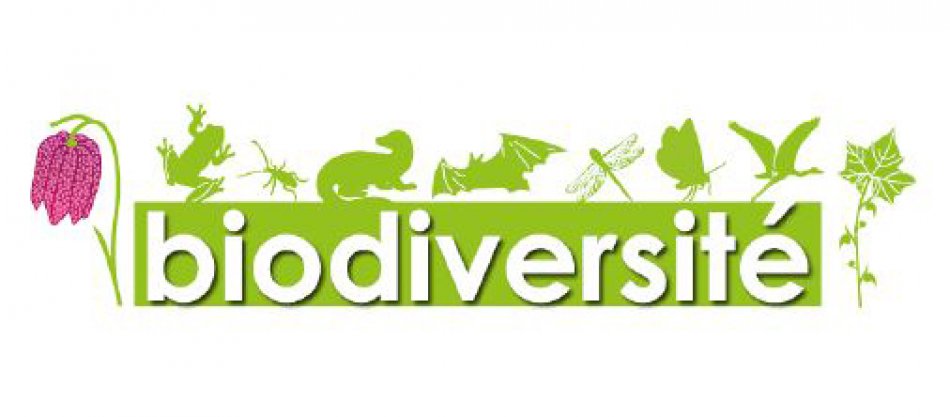 biodiversité