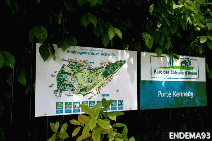 Parc des coteaux d'Avron