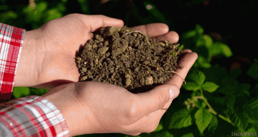 SIGNEZ LA PÉTITION POUR UNE PROTECTION EUROPEENNE DES SOLS