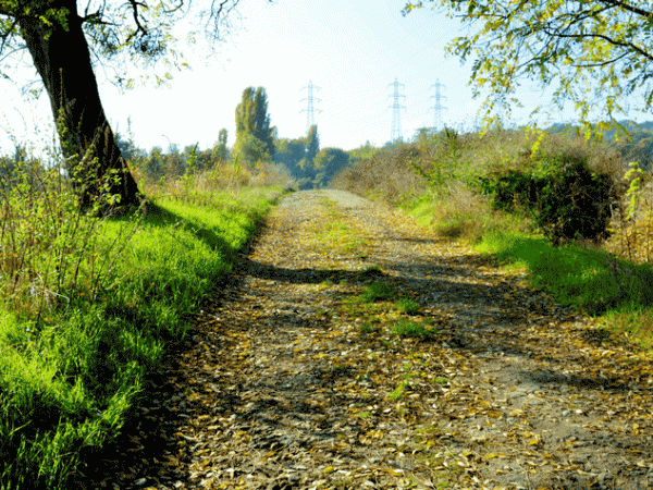 promenade d'automne au Montguichet