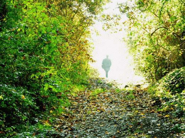 promenade d'automne au Montguichet