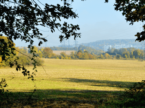 promenade d'automne au Montguichet