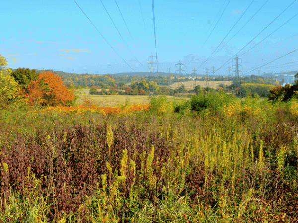 promenade d'automne au Montguichet