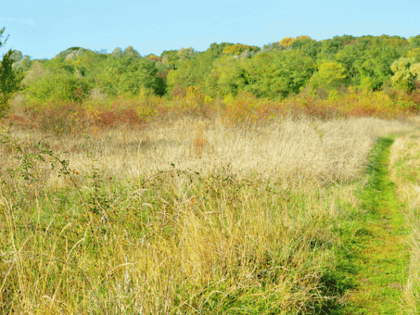 promenade d'automne au Montguichet