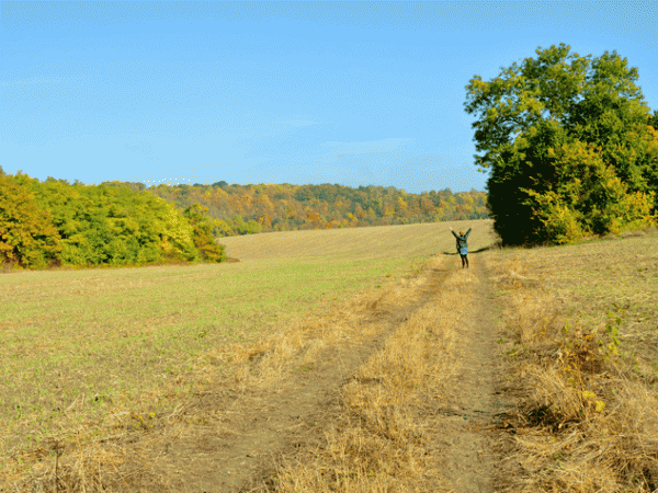 promenade d'automne au Montguichet