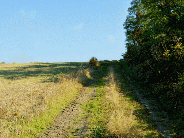 promenade d'automne au Montguichet