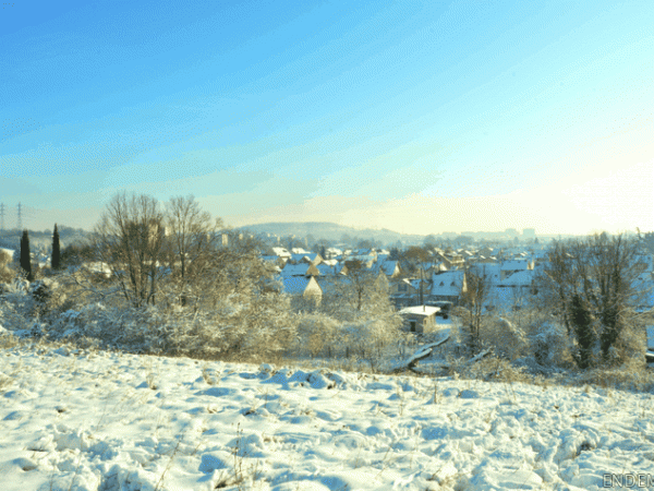 Promenade d'hiver au parc du Montguichet