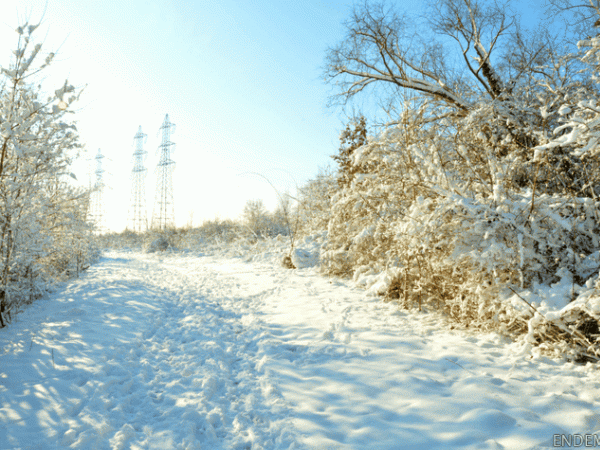 Promenade d'hiver au parc du Montguichet