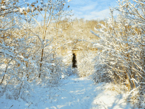 Promenade d'hiver au parc du Montguichet