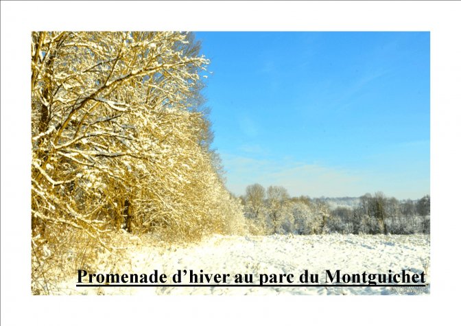 Promenade d'hiver au parc du Montguichet