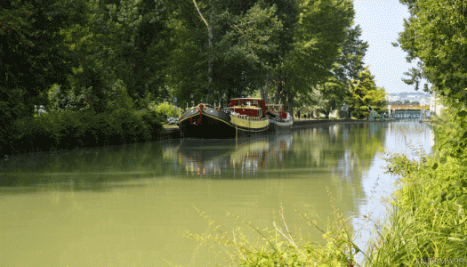 Schma d'Amnagement et de Gestion des Eaux (SAGE) Marne confluence