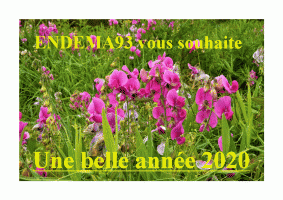 Voeux d'ENDEMA93 pour l'anne 2020.