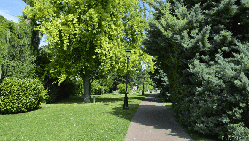 La voie Lamarque  neuilly-plaisance